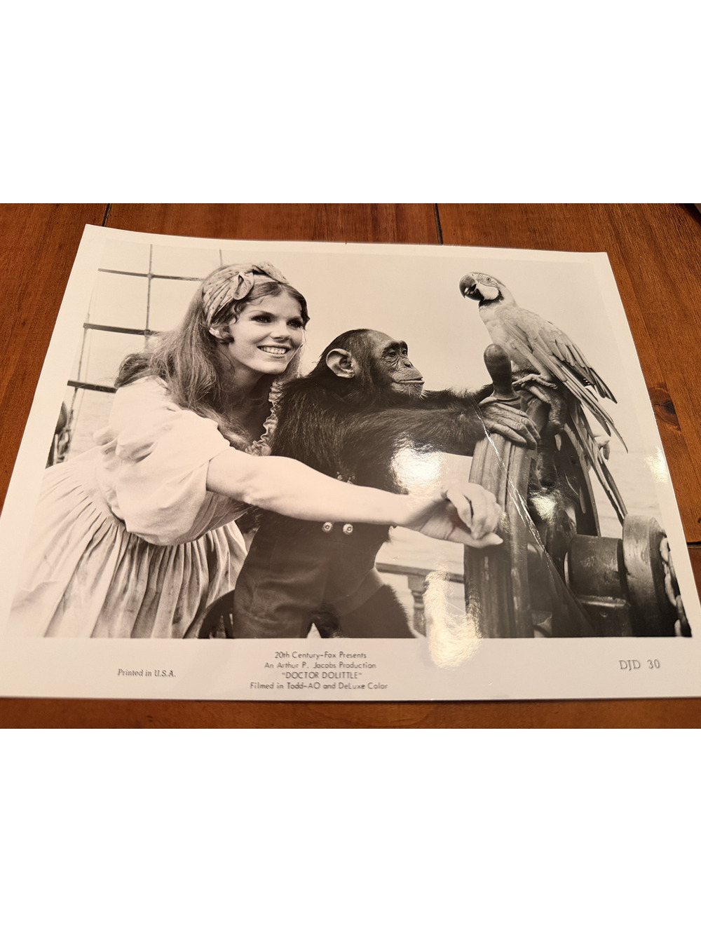 Doctor Dolittle 1967 Movie Press Still Samantha Eggar Chimpanzee Parrot 8x10 Pic
